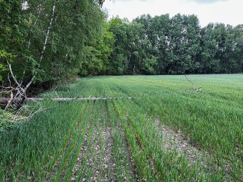 Spring measurements and drone
