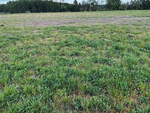 Spring measurements and drone