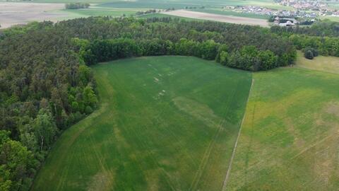 Spring measurements and drone